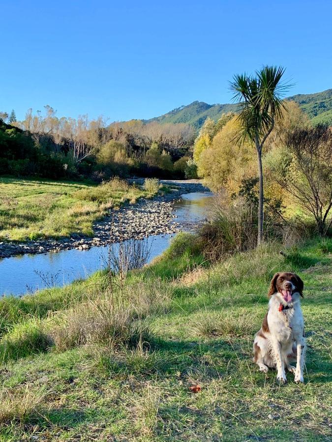 Aston Road Villa Bed & Breakfast Waikanae Buitenkant foto